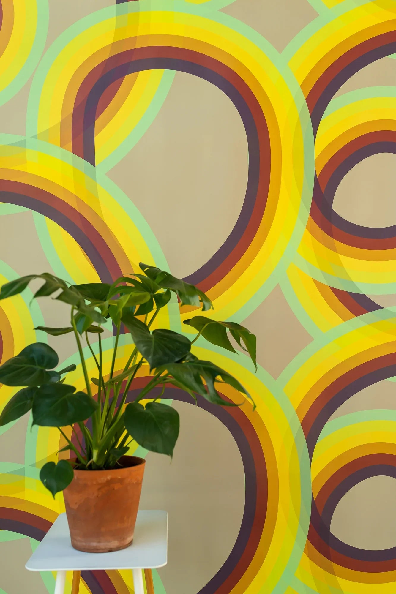 Potted green plant on white table against colorful retro rainbow arc wallpaper