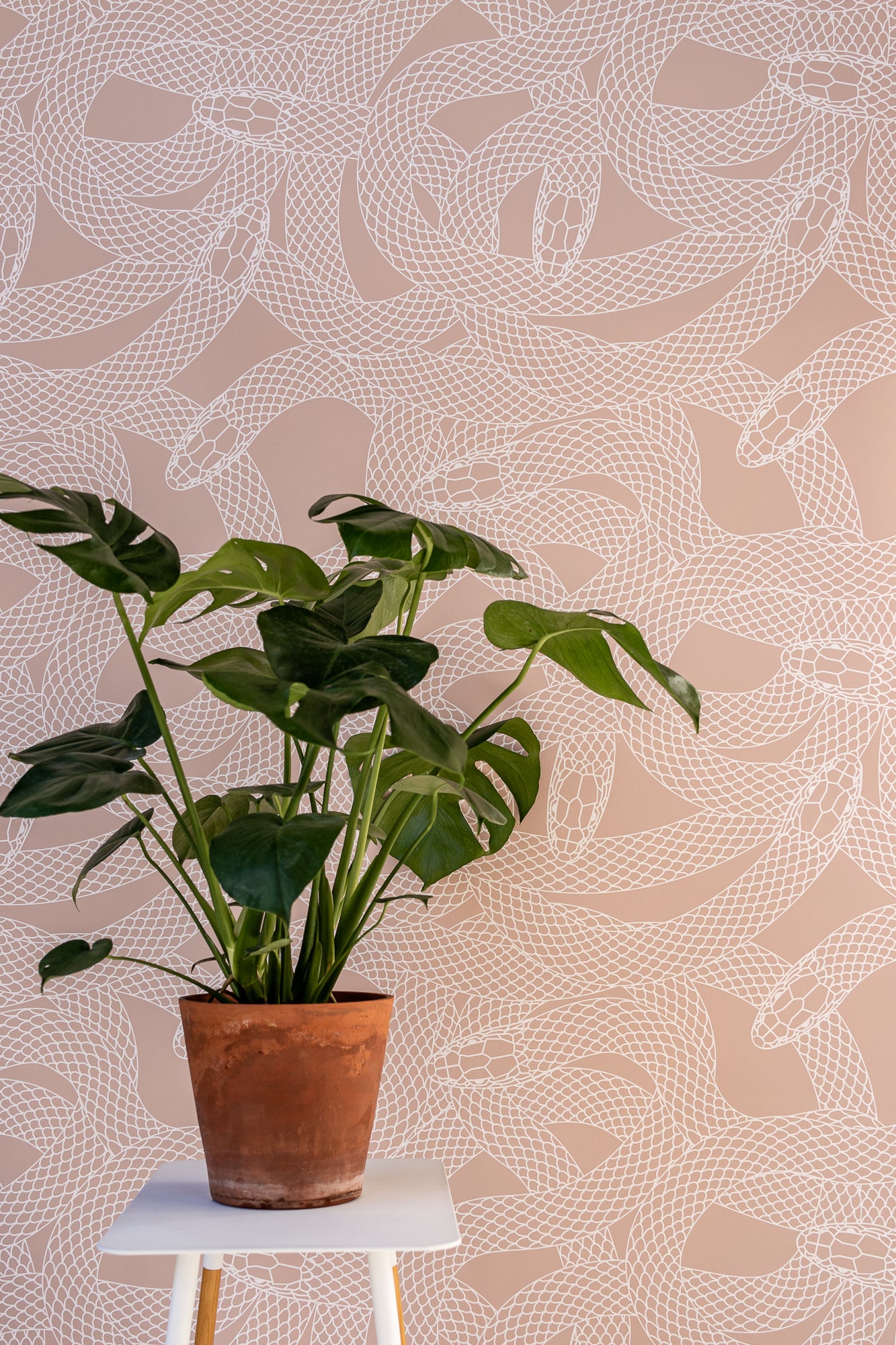 Wallpaper Snake