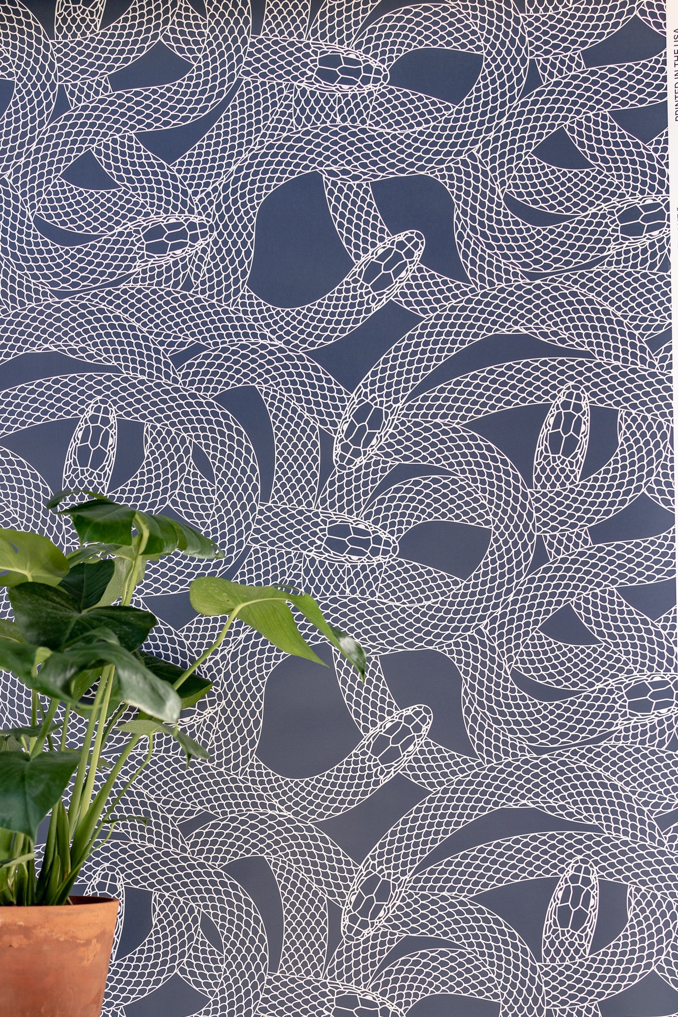 Wallpaper Snake
